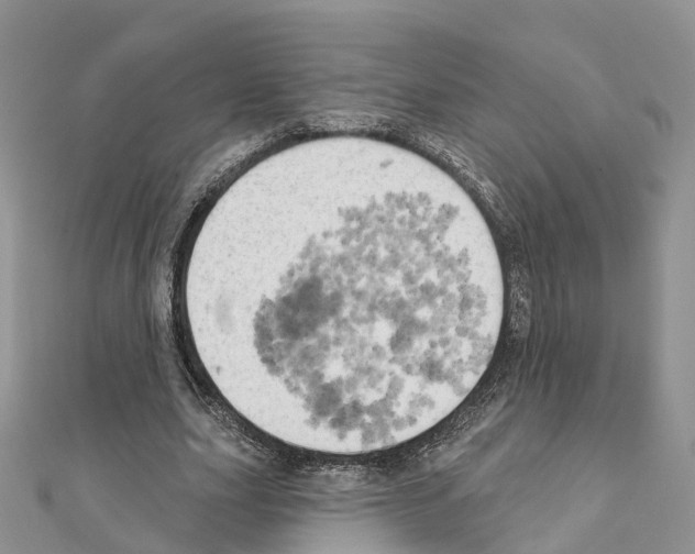 X0000111240631200908131145