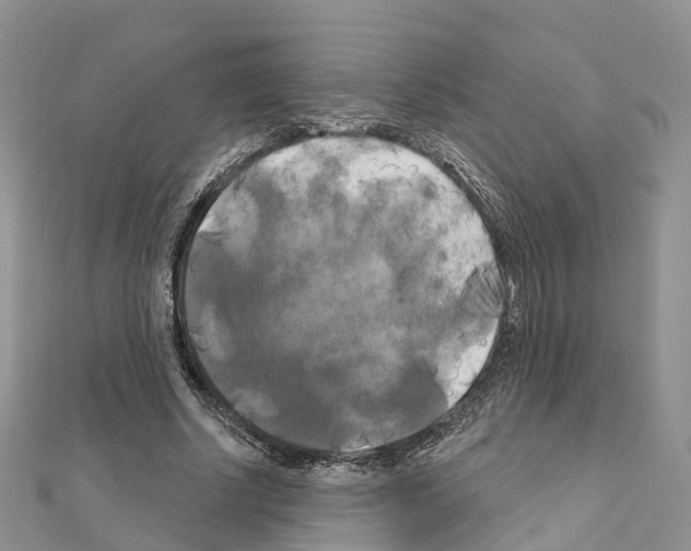 X0000111240634200908131145