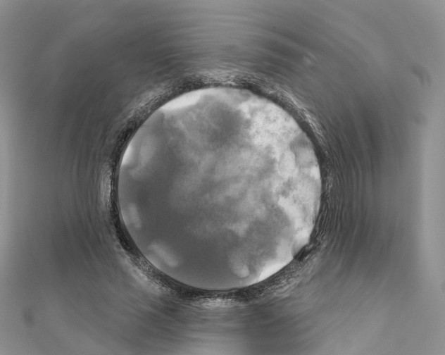 X0000111240637200908131145