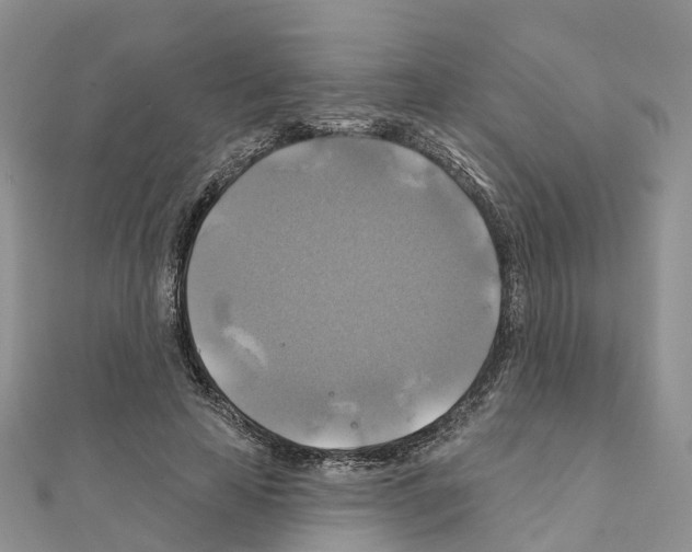 X0000111240641200908131145
