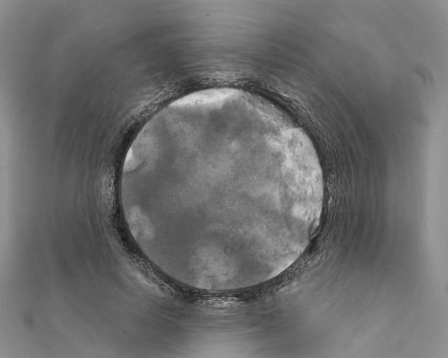 X0000111240642200908131145