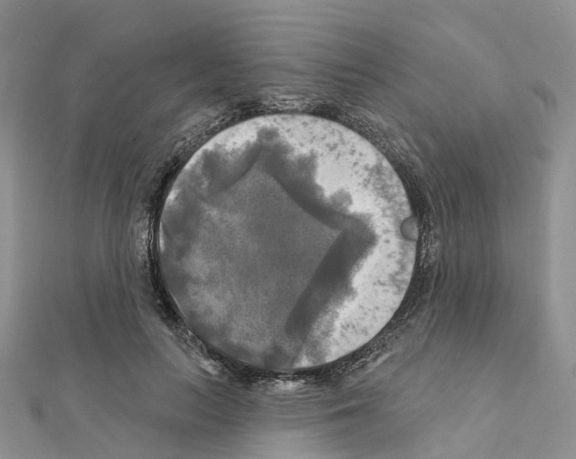 X0000111240647200908131146
