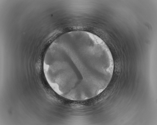 X0000111240648200908131146