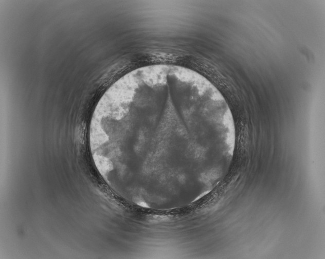 X0000111240649200908131146
