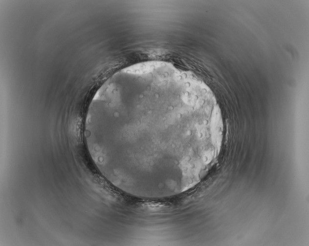 X0000111240650200908131146