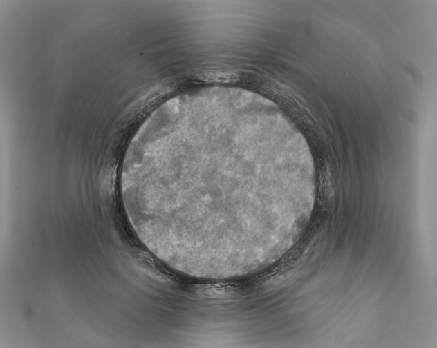 X0000111240652200908131146