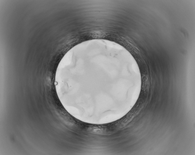 X0000111240655200908131146