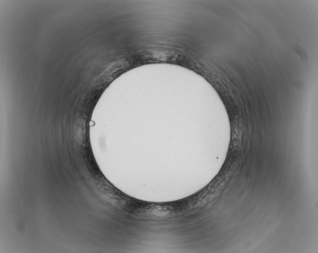 X0000111240656200908131146