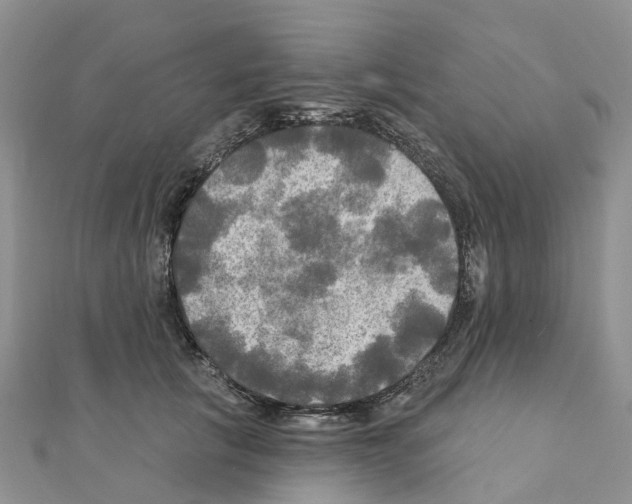 X0000111240657200908131146