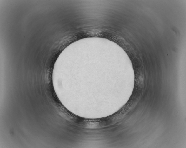 X0000111240658200908131146