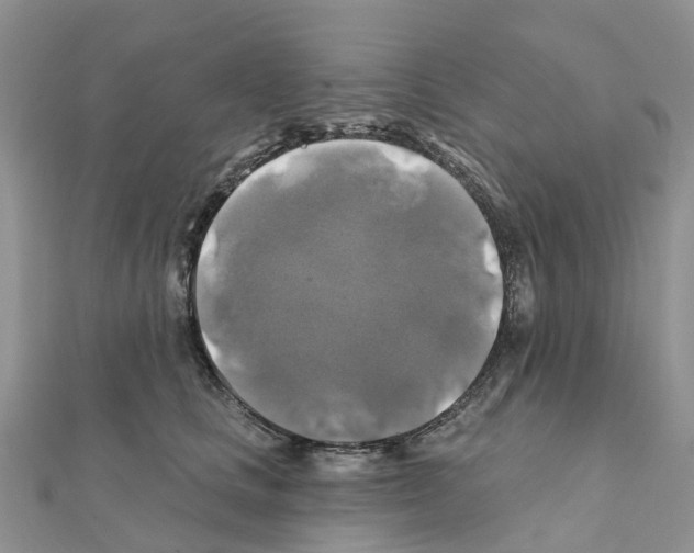 X0000111240661200908131146