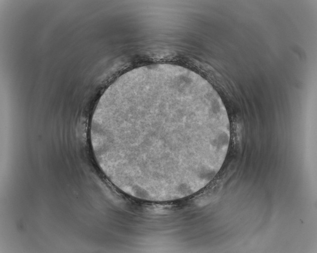 X0000111240664200908131146