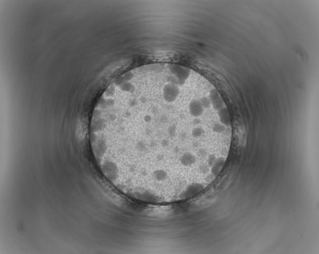 X0000111240665200908131146
