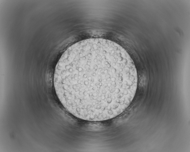 X0000111240666200908131146