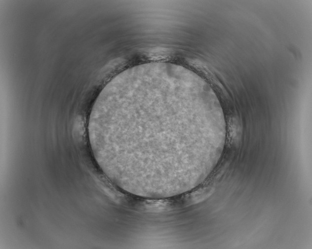 X0000111240667200908131146