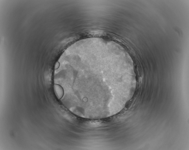 X0000111240668200908131146
