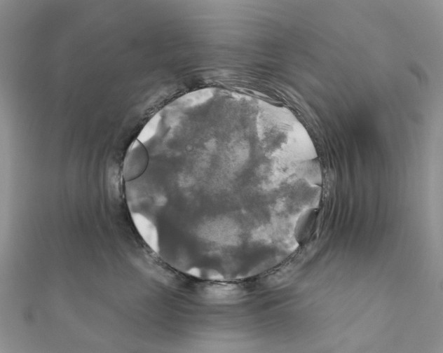 X0000111240669200908131146