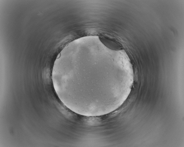 X0000111240670200908131146