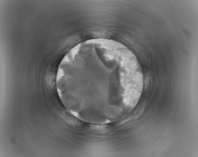 X0000111240671200908131146