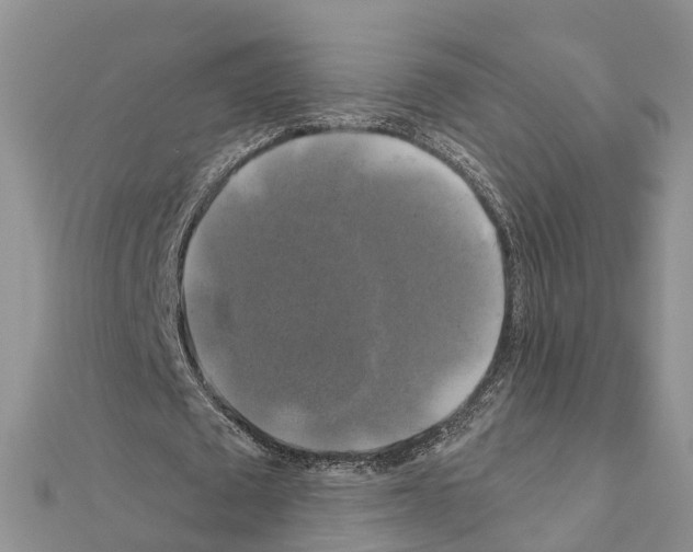 X0000111240673200908131145