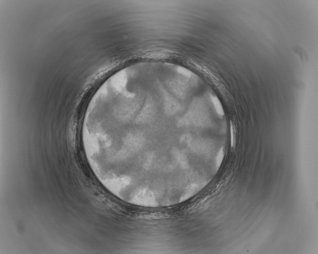 X0000111240675200908131145