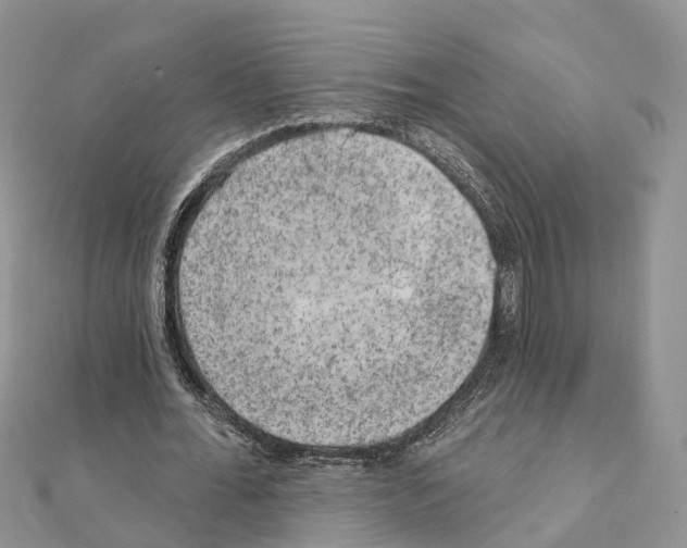 X0000111240676200908131145