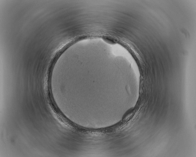 X0000111240677200908131145