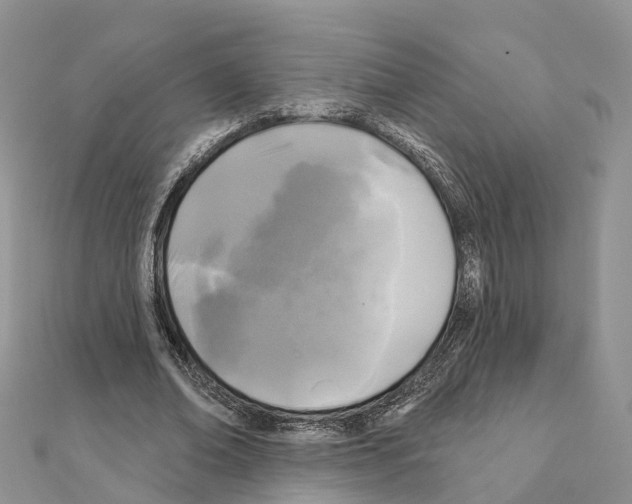X0000111240678200908131145