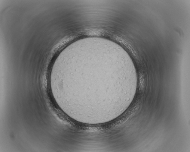X0000111240682200908131145