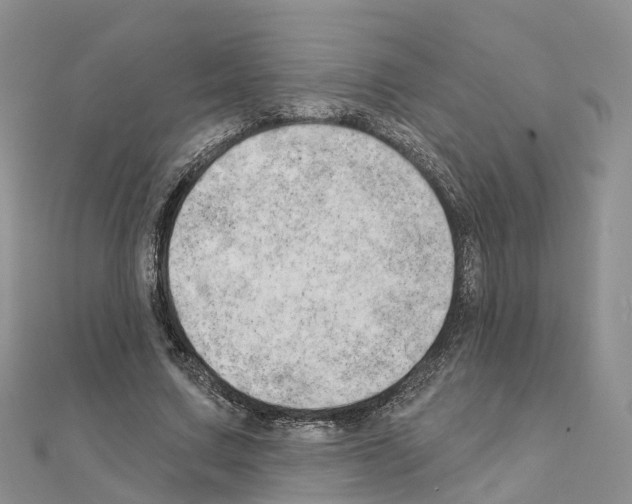 X0000111240683200908131145