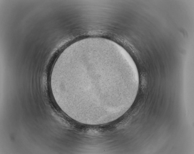 X0000111240684200908131145