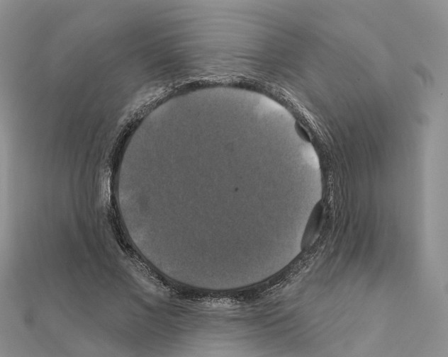 X0000111240685200908131145