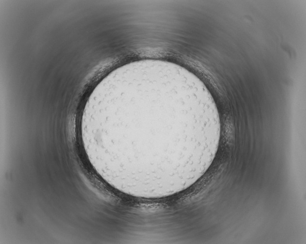 X0000111240686200908131145