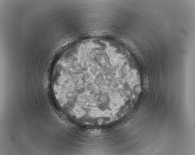 X0000111240687200908131145
