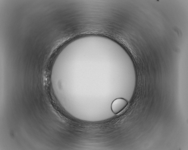 X0000111240688200908131145