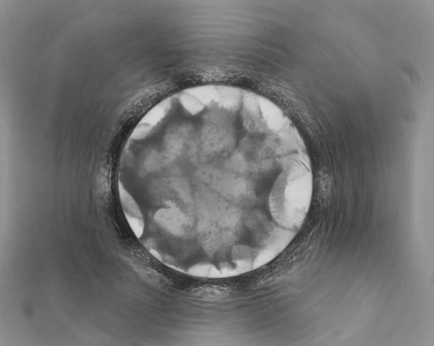 X0000111240691200908131145