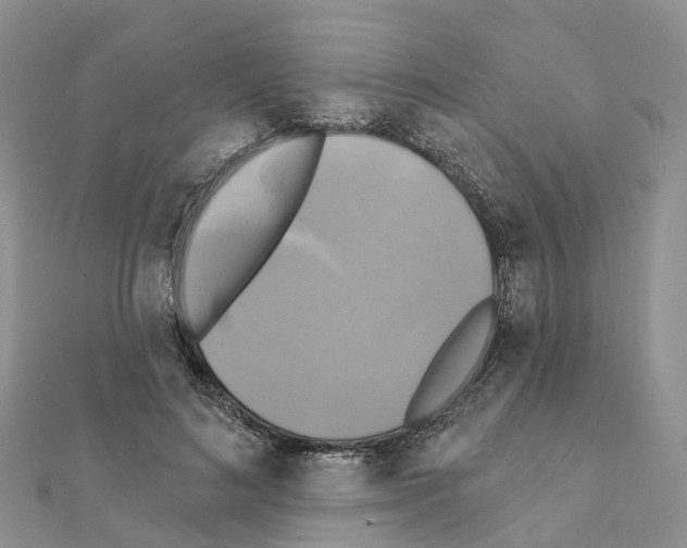 X0000111240692200908131145