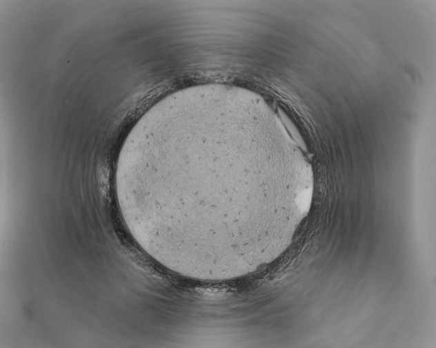 X0000111240693200908131145