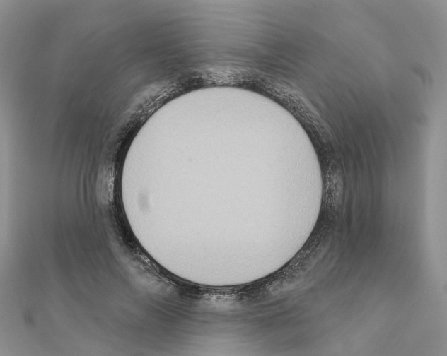 X0000111240694200908131145
