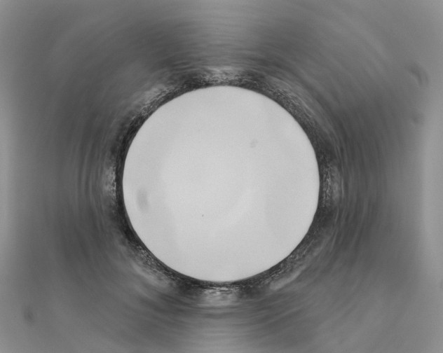 X0000111240700200908131145