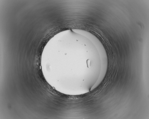 X0000111240701200908131145