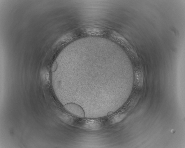 X0000111240705200908131145