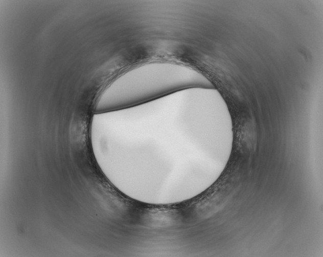 X0000111240708200908131145