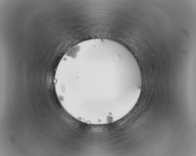 X0000111240709200908131145