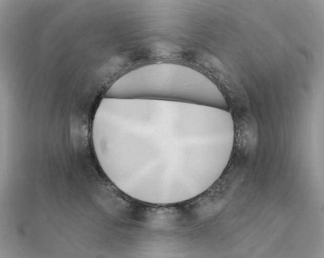 X0000111240716200908131145