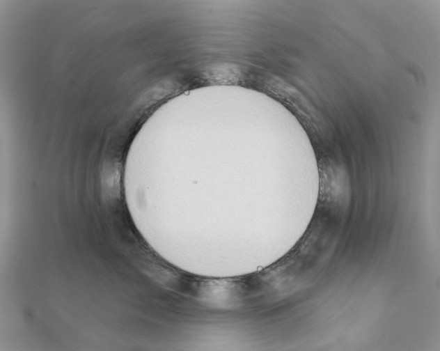 X0000111240717200908131145