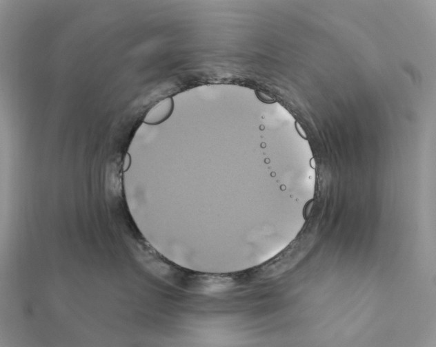 X0000111240719200908131145