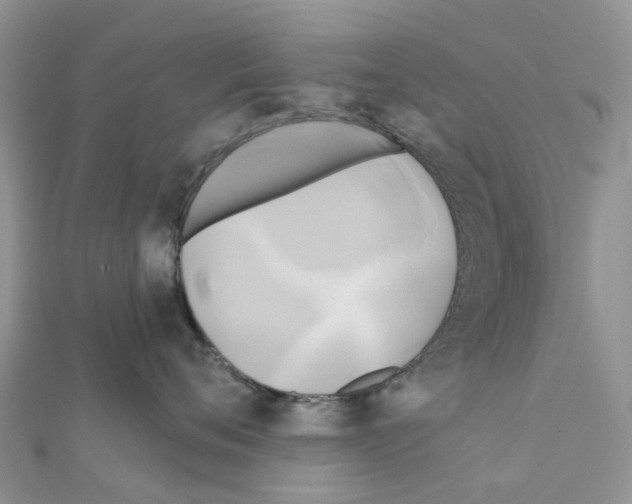 X0000111240720200908131144