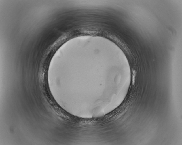 X0000111240723200908131144