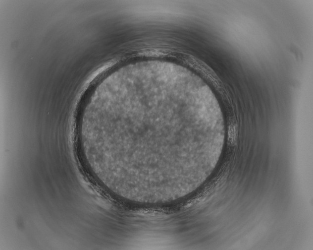X0000111240724200908131144